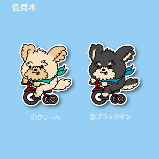 三輪車で走り続けるポメプーちゃん。103-
