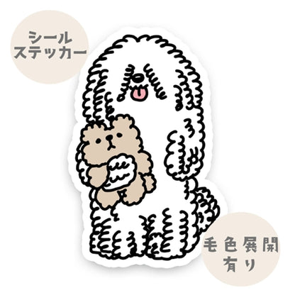 おりこうさんで待ってるプーリーちゃん。89-