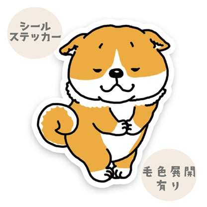 ヨロコビを隠し切れないシバちゃん。39-5