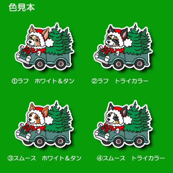 オバケカボチャと立ち耳ジャックラッセルちゃん。43-18
