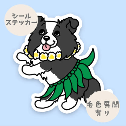 フラボーダーコリーちゃん。106-