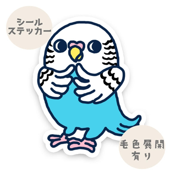 かわいいセキセイインコちゃん。