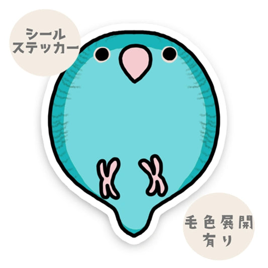 コロコロサザナミインコちゃん。