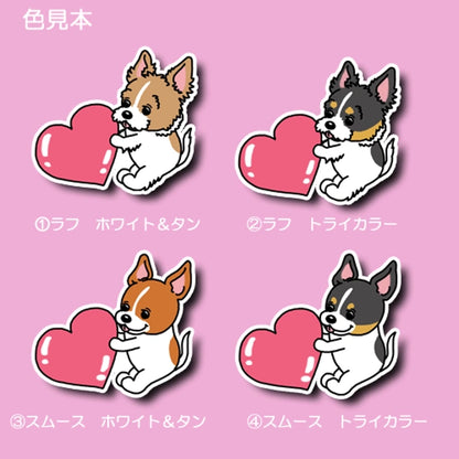 ハートを届けたい立ち耳ジャックラッセルちゃん。43−14