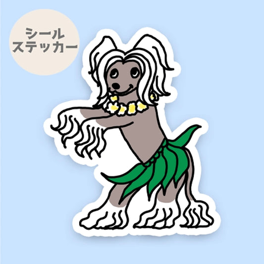 フラしてるチャイクレちゃん。57-3