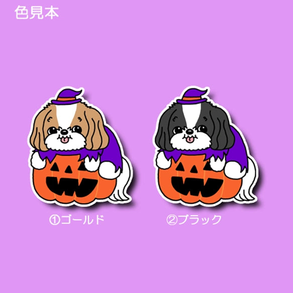 オバケカボチャとシーズーちゃん。35-21