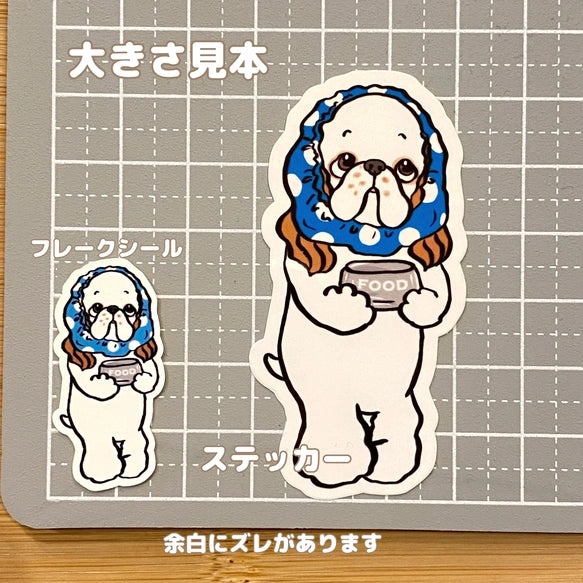 ごはんの時間じゃない～？って言ってるアメコカちゃん。5-10