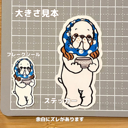 ごはんの時間じゃない～？って言ってるアメコカちゃん。5-10