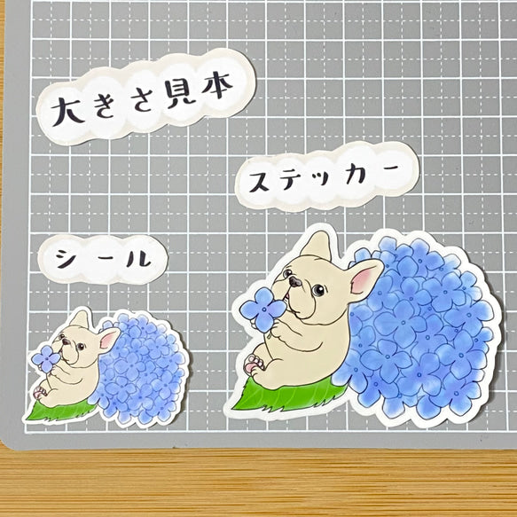 紫陽花の季節のフレブルちゃん。96−44