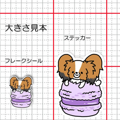 マカロンとパピヨンちゃん。80-