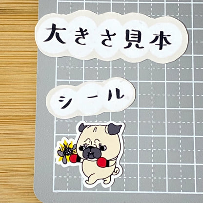 パグちゃんのフィラリア予防。76-