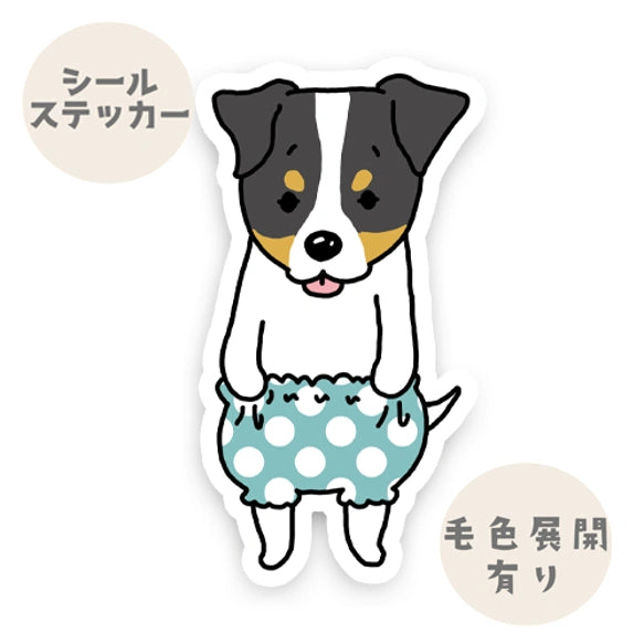 おパンツジャックラッセルちゃん。42-12