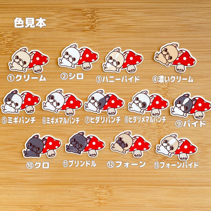 きのことフレブルちゃん。96−396