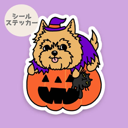 オバケカボチャとノーリッチテリアちゃん。74-