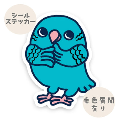 かわいいサザナミインコちゃん。