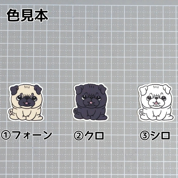 おすわりしてるパグちゃん。76-