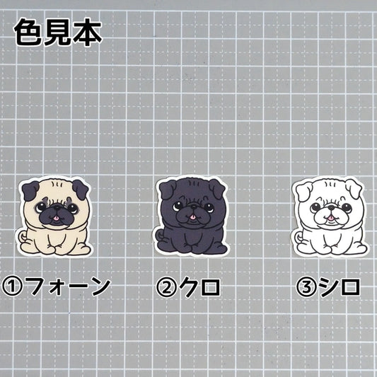 おすわりしてるパグちゃん。76-