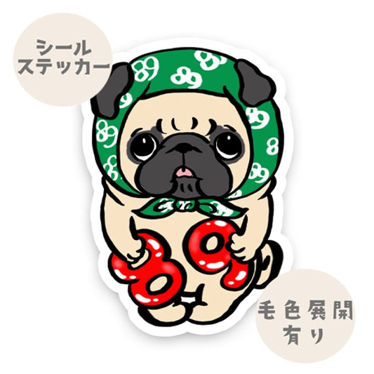 89パグの日。76-