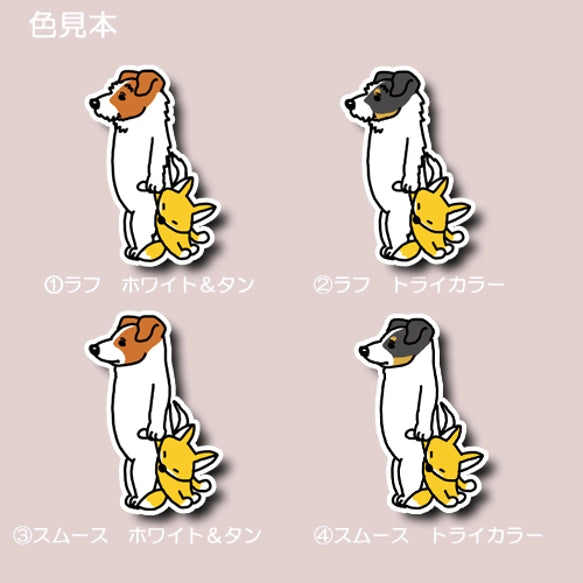お留守番してるジャックラッセルちゃん。42-10