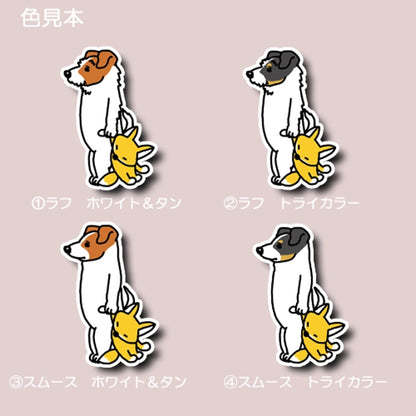 お留守番してるジャックラッセルちゃん。42-10