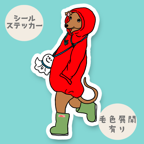 雨の日のイタグレちゃん。9-