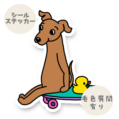 誰かと遊びたいイタグレちゃん。9-8
