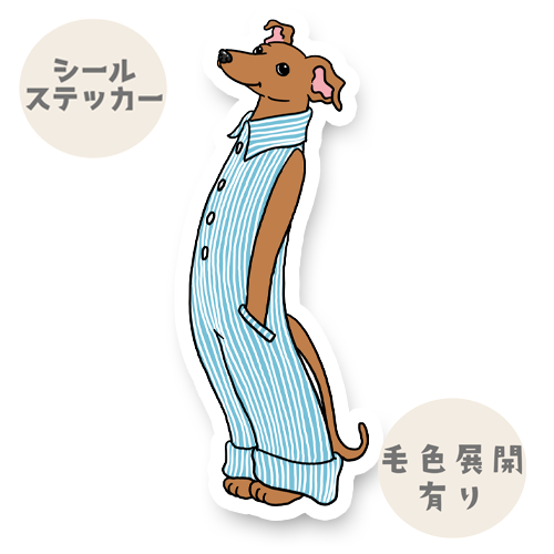 オーバーオールのイタグレちゃん。9-