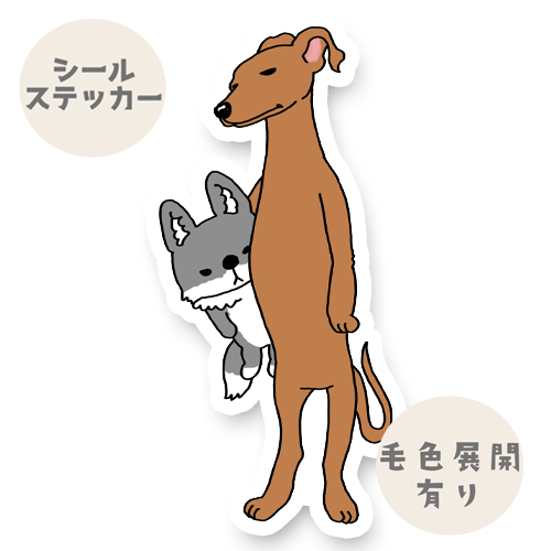 お留守番してるイタグレちゃん。9-9