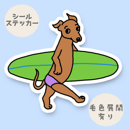 サーファーイタグレちゃん。9-