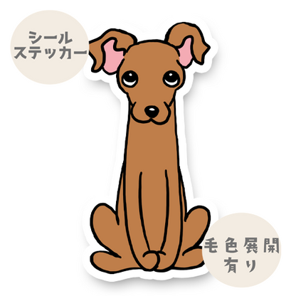 おすわりイタグレちゃん。9-