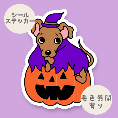 オバケカボチャとイタグレちゃん。9-