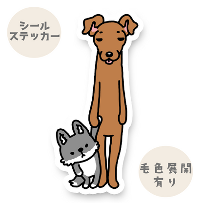 寝ぼけてるイタグレちゃん。9-3