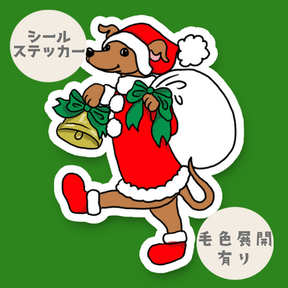 イタグレちゃんのジングルベル。9-