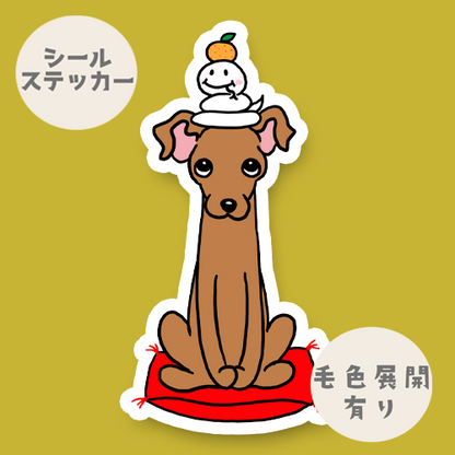 巳年のイタグレちゃん。9-