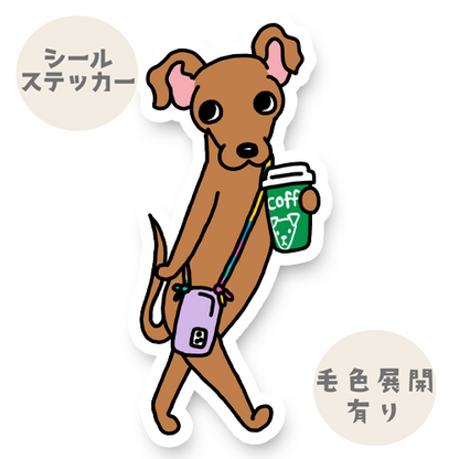 おでかけイタグレちゃん。9-4