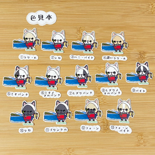 静岡を旅するフレブルちゃん。96−68