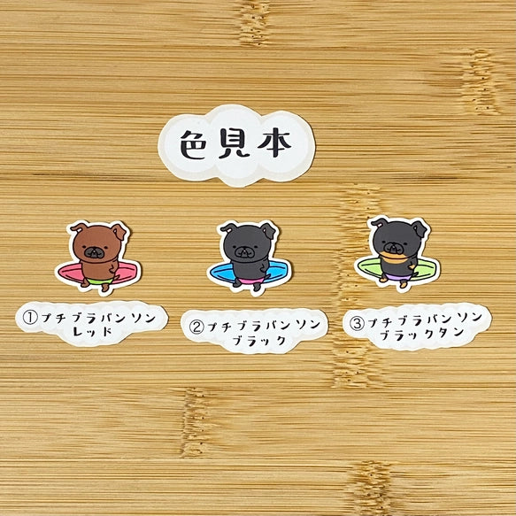 かわいいサーファープチブラバンソン。86-