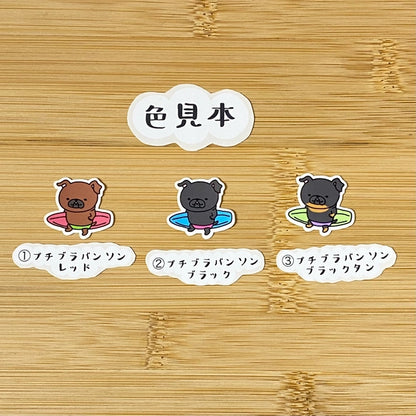 かわいいサーファープチブラバンソン。86-