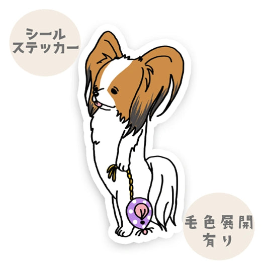 お留守番してるパピヨンちゃん。80-