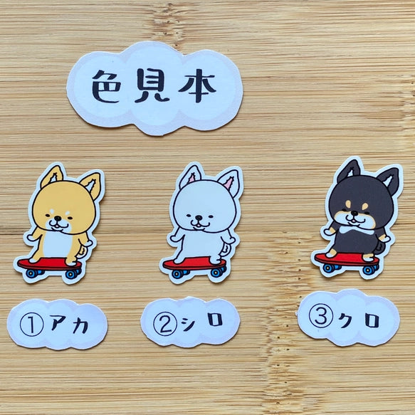スケボーシバちゃん。39-8