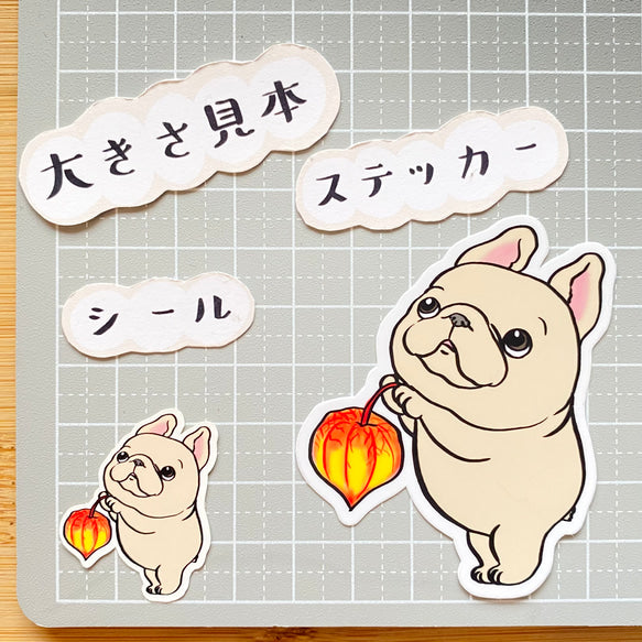 鬼灯であかりを灯すフレブルちゃん。96−284