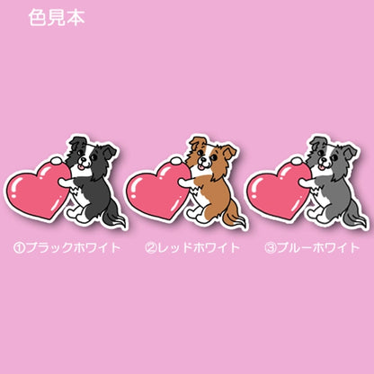 ハートを届けたいボーダーコリーちゃん。106-
