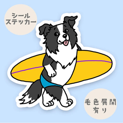 サーファーボーダーコリーちゃん。106-