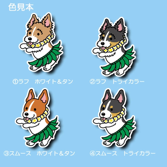 フラ立ち耳ジャックラッセルちゃん。43-16
