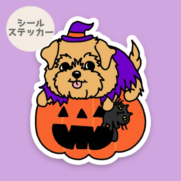 オバケカボチャとノーフォークテリアちゃん。73-