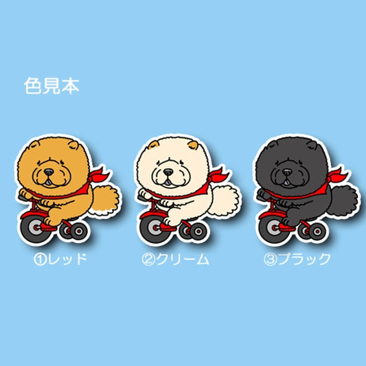 三輪車で走り続けるチャウチャウちゃん。59-3