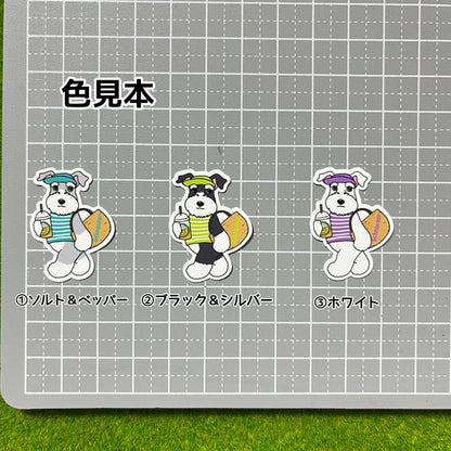 夏のお買い物のシュナウザーちゃん。44-7