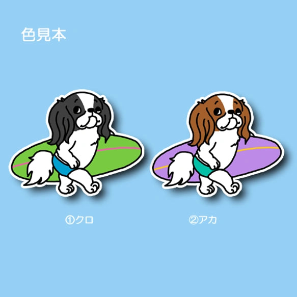 サーファー狆ちゃん。66-19
