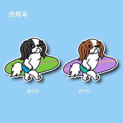 サーファー狆ちゃん。66-19