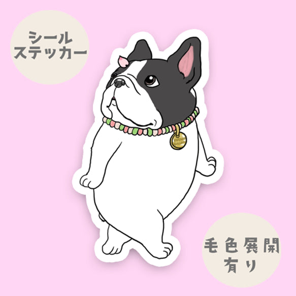 桜並木をお散歩してるフレブルちゃん。96−468